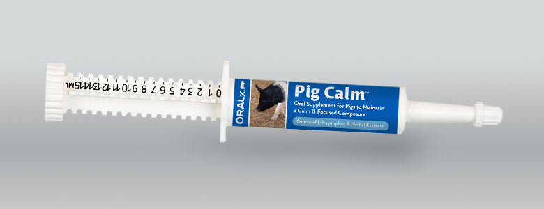 Pig Calm