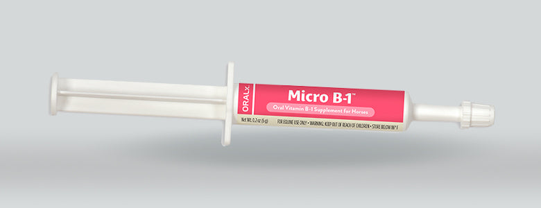 Micro B-1