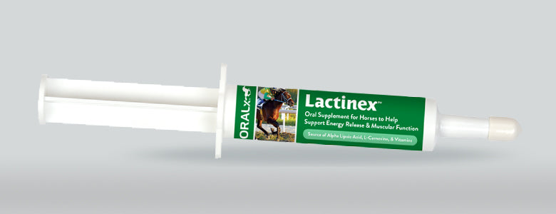 Lactinex