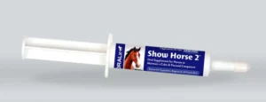 Show Horse 2