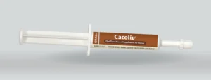 Cacoliv