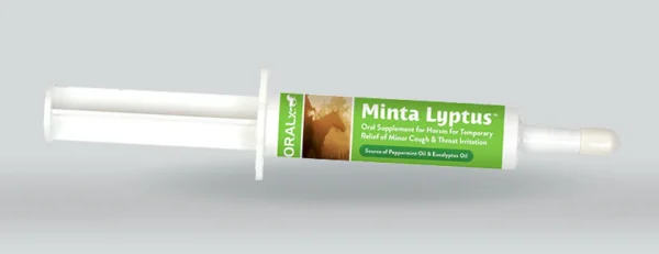 Minta Lyptus