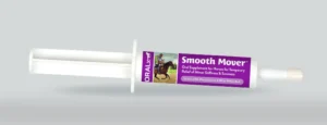 Smooth Mover