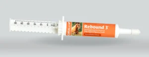 Rebound 3