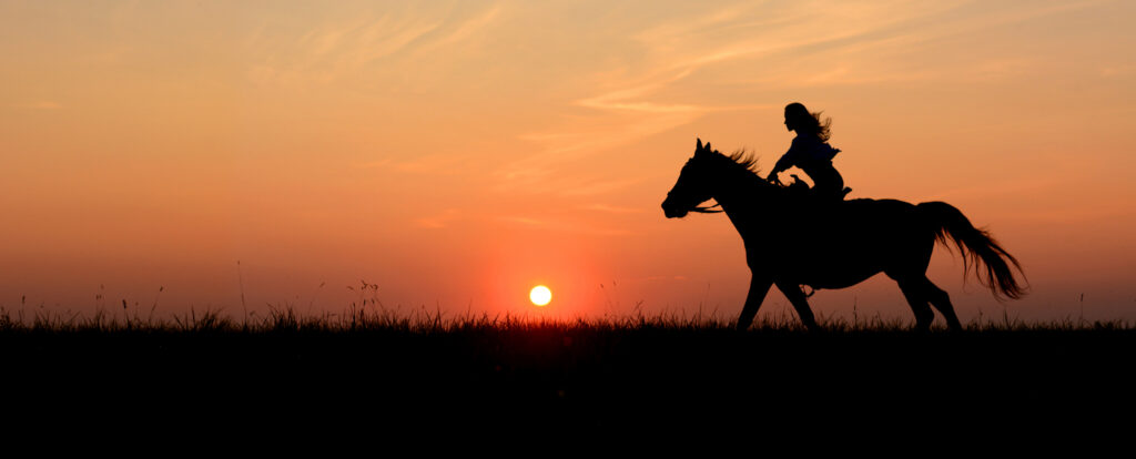 Animal Supplements USA