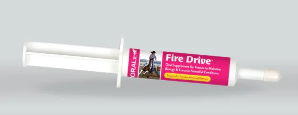 Fire Drive