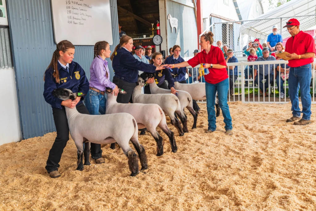 Are Supplements Safe For My Show Animals? are supplements safe for my show animals
